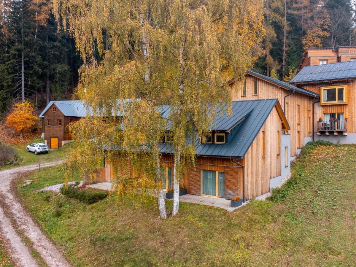 Apartment Portasky- Velka Upa 3 By Interhome Pec pod Snezkou Exterior photo