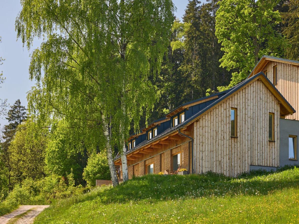 Apartment Portasky- Velka Upa 3 By Interhome Pec pod Snezkou Exterior photo